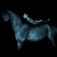 Surreal photo of a blue horse